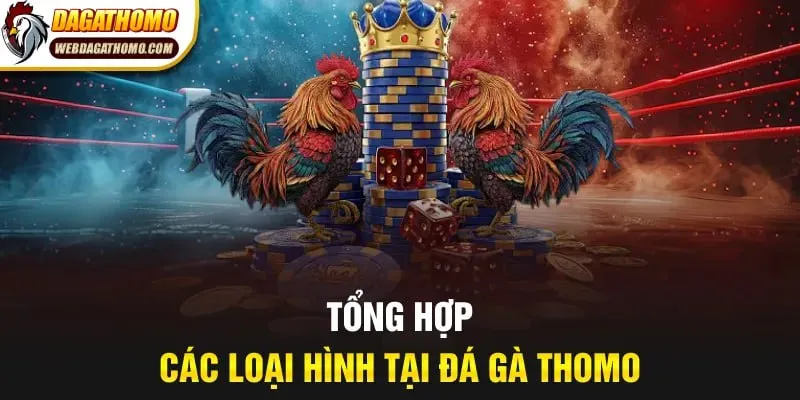 Tổng hợp các loại hình tại đá gà Thomo