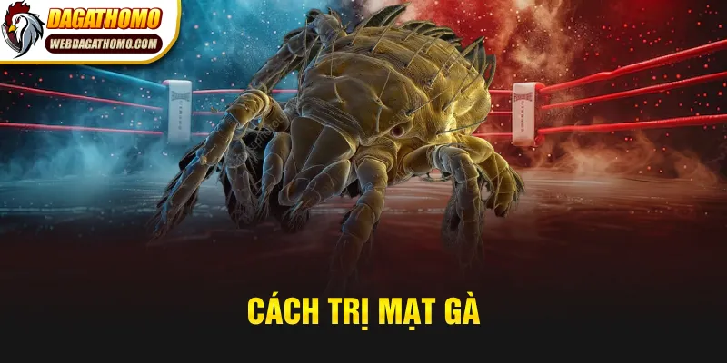 Cách trị mạt gà hiệu quả