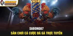 Sabong67 sân chơi đá gà trực tuyến