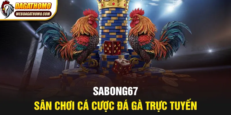 Sabong67 sân chơi đá gà trực tuyến