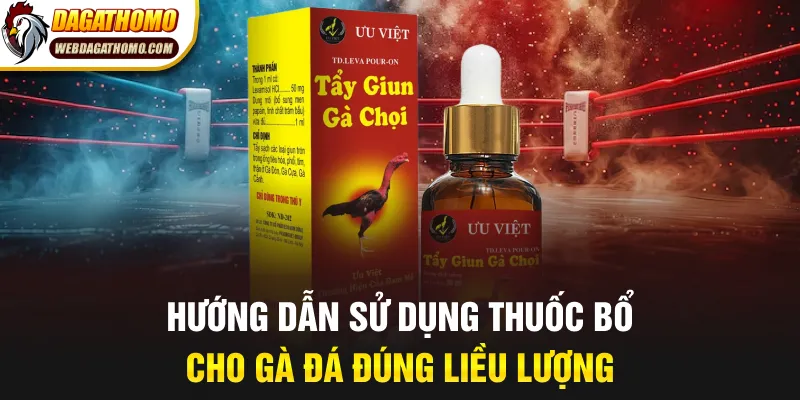 Hướng dẫn sử dụng thuốc bổ cho gà đá đúng liều lượng