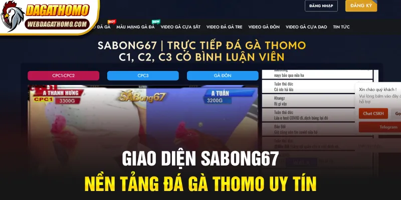 Giao diện Sabong67 nền tảng đá gà Thomo uy tín