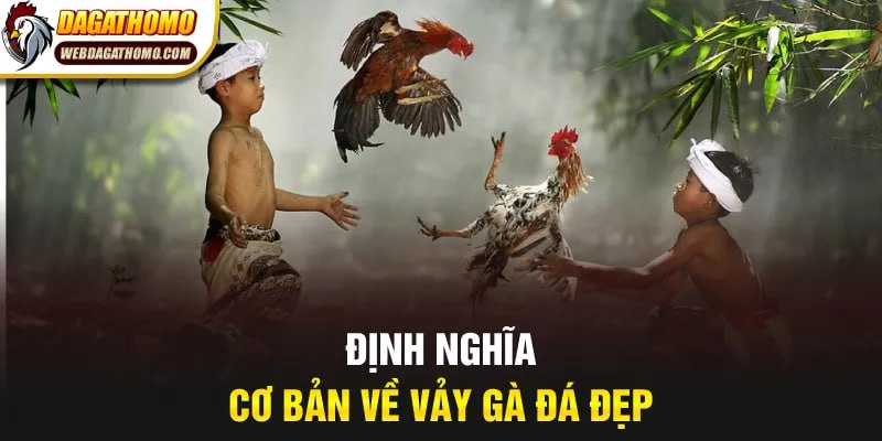 Định nghĩa cơ bản về vảy gà đá đẹp