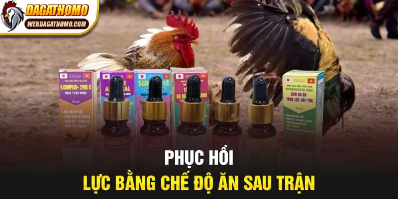Phục hồi lực bằng chế độ ăn sau trận