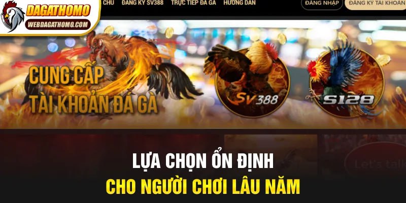 LỰA CHỌN ỔN ĐỊNH CHO NGƯỜI CHƠI LÂU NĂM