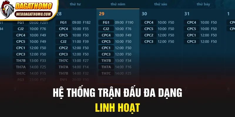 Hệ thống trận đấu đa dạng