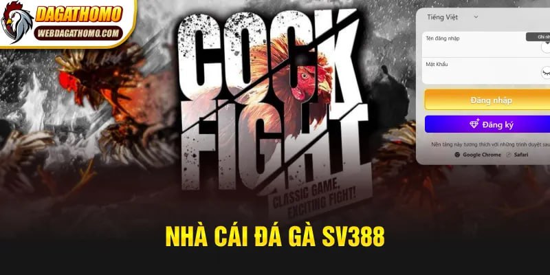 NHÀ CÁI ĐÁ GÀ SV388 – ĐIỂM ĐẾN CỦA NGƯỜI CHƠI THẬT SỰ?