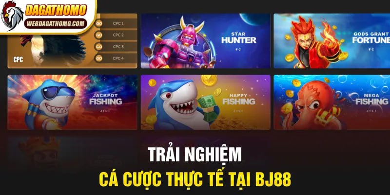 Trải nghiệm cá cược thực tế tại BJ88