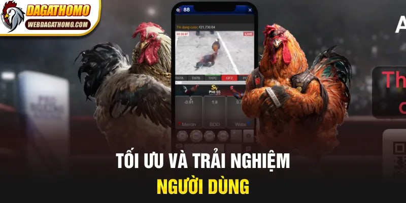 Giao diện dễ nhìn tối ưu và trải nghiệm người dùng