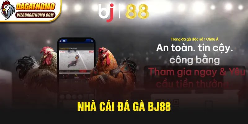 NHÀ CÁI ĐÁ GÀ BJ88 – HỆ THỐNG SỚI GÀ CÁ CƯỢC THẬT CHO NGƯỜI CHƠI THẬT