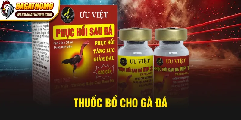 Thuốc bổ cho gà