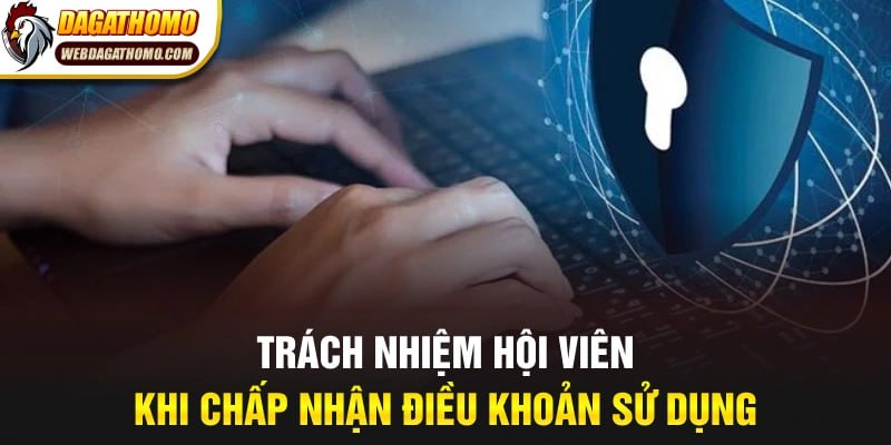 Trách nhiệm hội viên khi chấp nhận điều khoản sử dụng