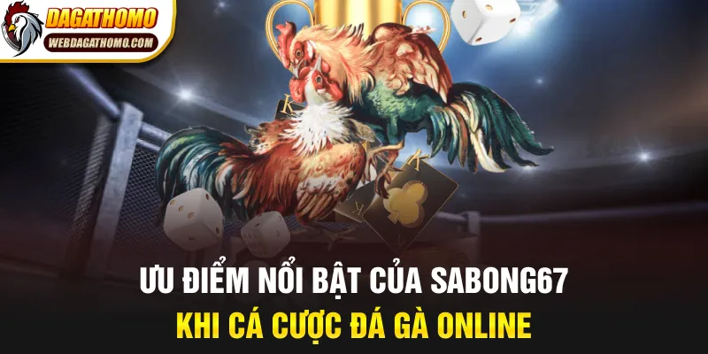 Ưu điểm nổi bật của Sabong67 khi cá cược đá gà online