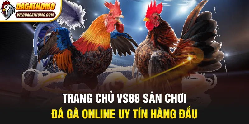 Trang chủ VS88 sân chơi đá gà online uy tín hàng đầu
